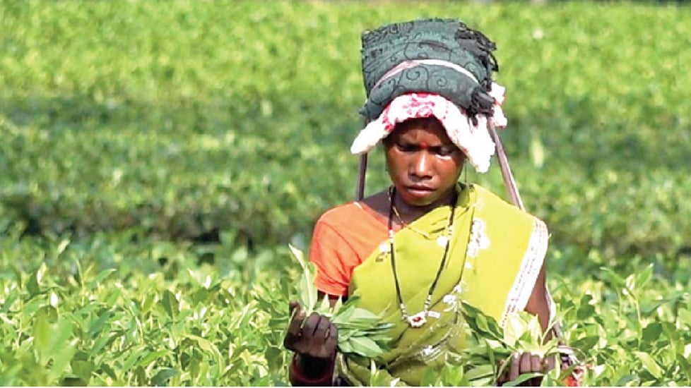 प्रतीकात्मक फोटो
