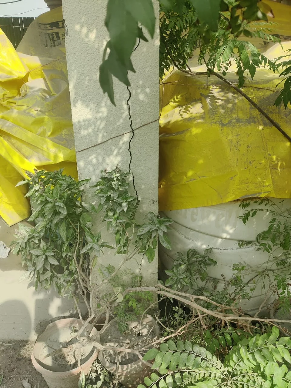 फोटो: IANS