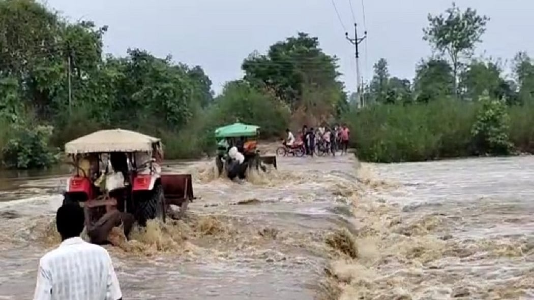 फोटो: सोशल मीडिया