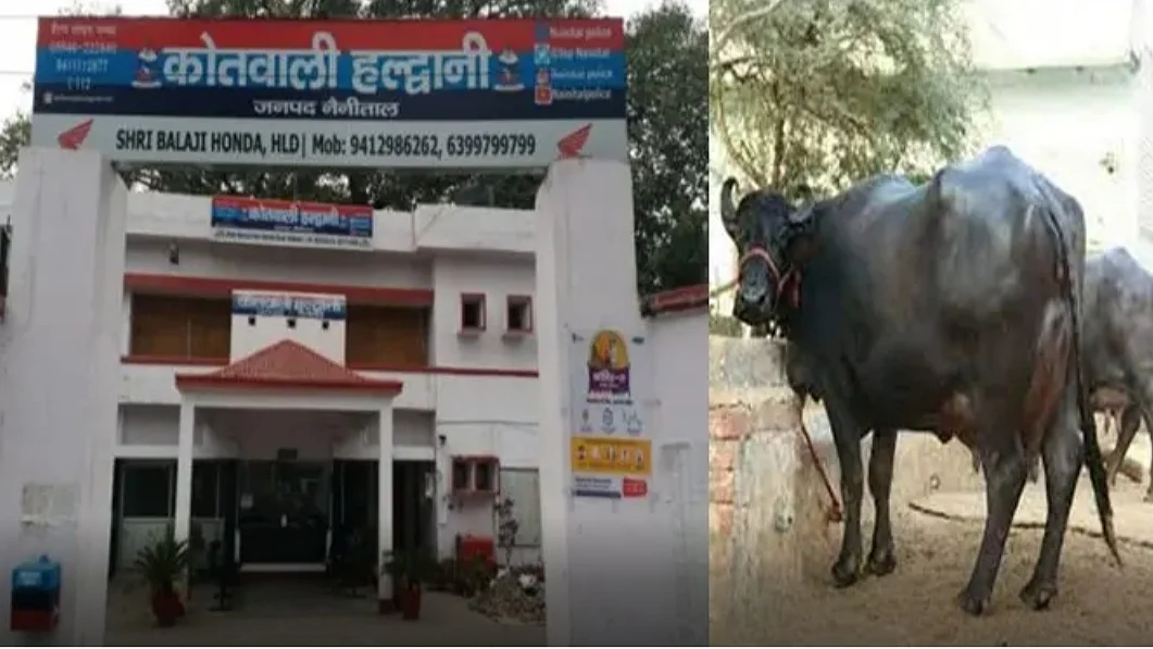 फोटो: IANS