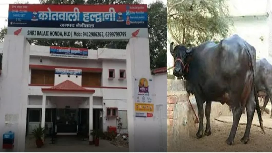 फोटो: IANS