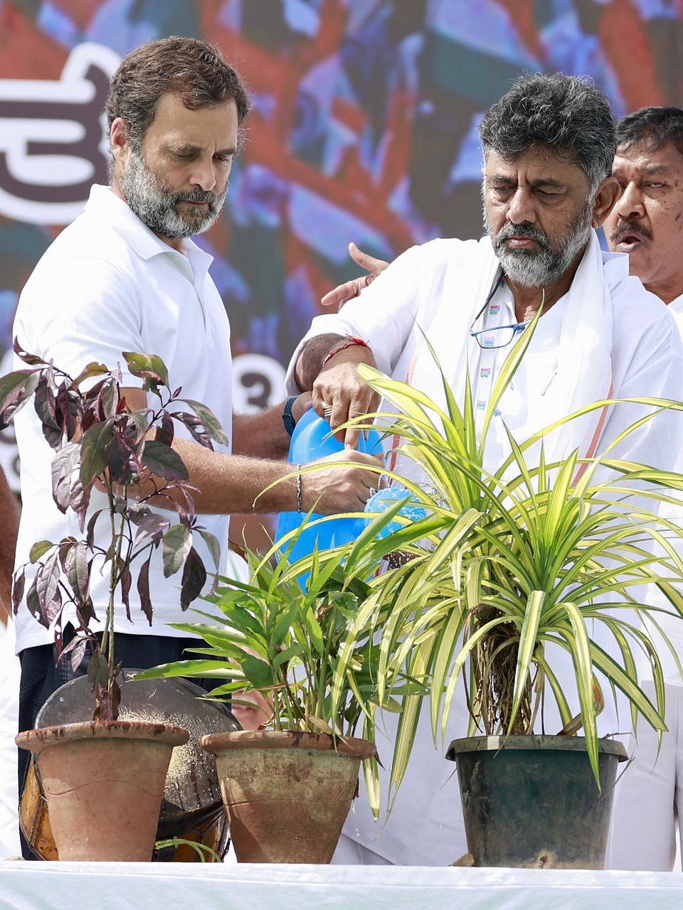 भारत जोड़ो यात्रा के कर्नाटक पहुंचे के पर पौधे में पानी डालते राहुल गांधी और प्रदेश अध्यक्ष डीके शिवकुमार।
