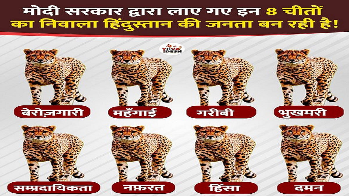 'मोदी जी ने ताली-थाली की नौटंकी के बाद 'चीतों' के 'नामकरण' के लिए शुरू की है प्रतियोगिता, चीतों के लिए सही रहेंगे ये नाम'