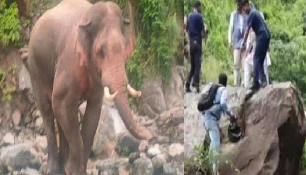वीडियो: उत्तराखंड के पूर्व सीएम को जब बीच रास्ते 'गजराज' ने दौड़ाया, ऐसे बचानी पड़ी जान