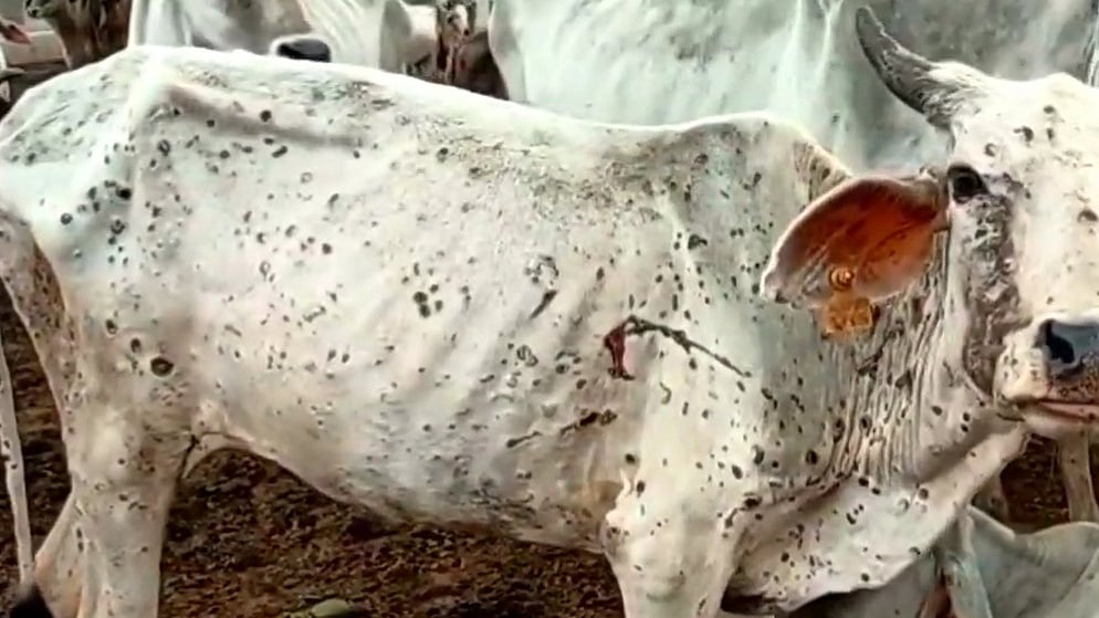 फोटो: IANS