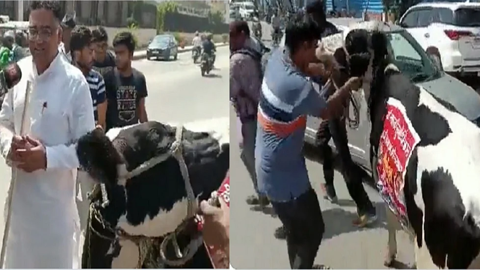 फोटोः नवजीवन