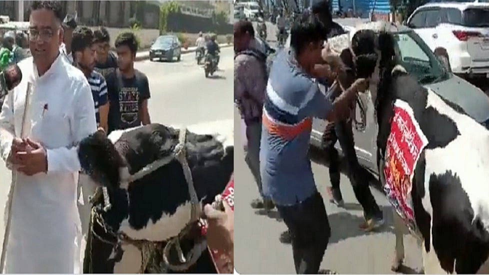फोटोः नवजीवन