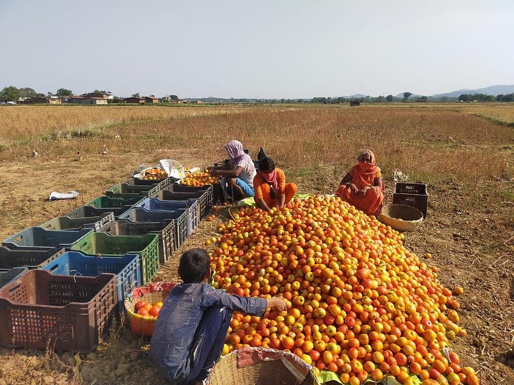 झारखंड में 15.27 लाख से अधिक किसान नहीं उठा पाएंगे पीएम किसान योजना का लाभ, जानें पूरा मामला