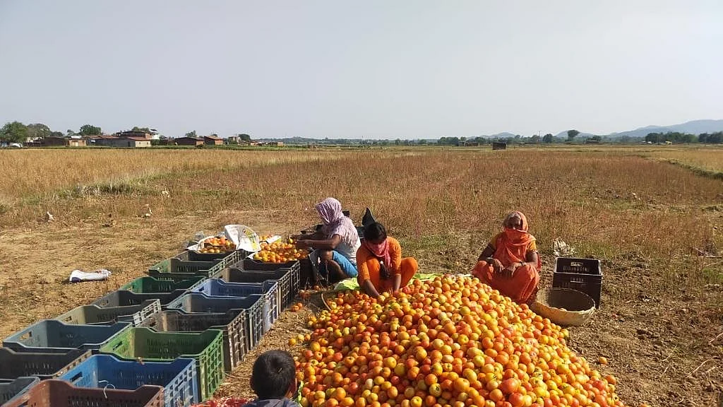 फोटो: IANS