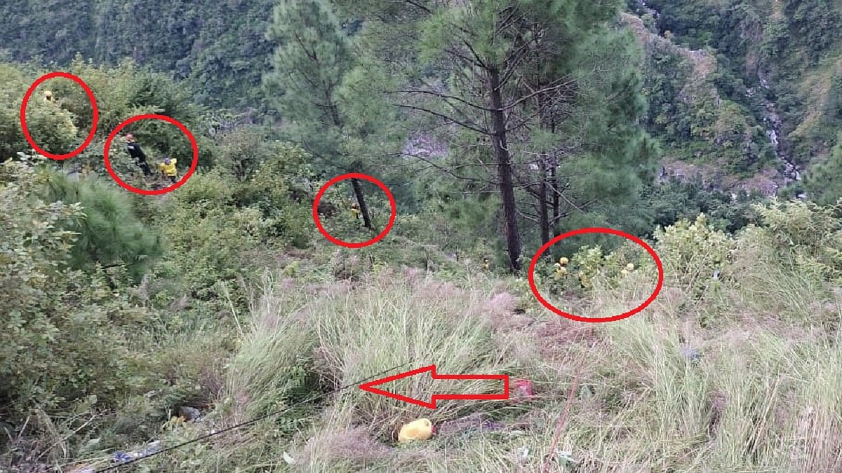 फोटो: सोशल मीडिया