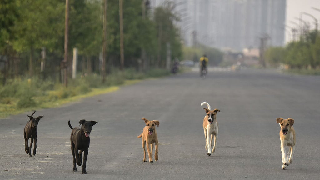 फोटो: Getty Images
