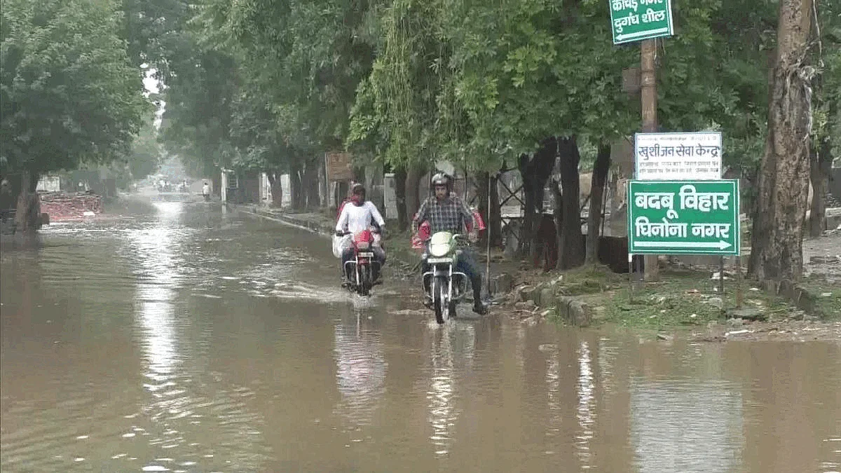 फोटो: सोशल मीडिया