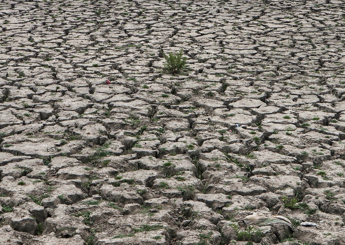 देश में बिन मौसम बारिश, बाढ़ और सूखे का बढ़ा प्रकोप, ग्लोबल वार्मिंग को 84 फीसदी भारतीयों ने माना वजह