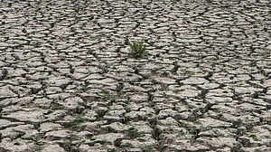 देश में बिन मौसम बारिश, बाढ़ और सूखे का बढ़ा प्रकोप, ग्लोबल वार्मिंग को 84 फीसदी भारतीयों ने माना वजह