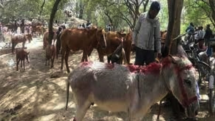 फोटोः IANS
