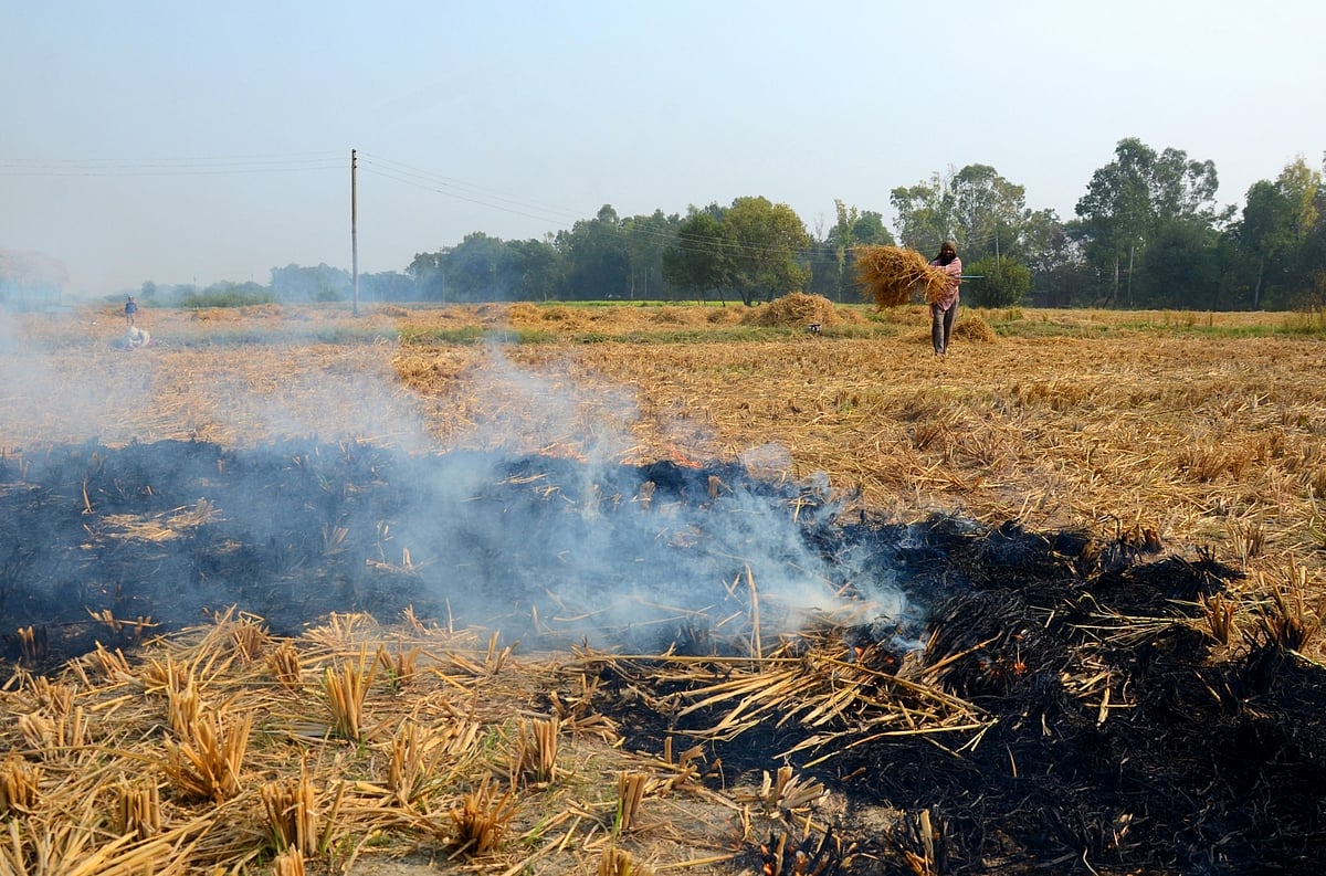पराली जलाने के विकल्प महंगे इसलिए नहीं अपना रहे किसान, मशीनों पर सरकार की सब्सिडी योजना भी एक धोखा!