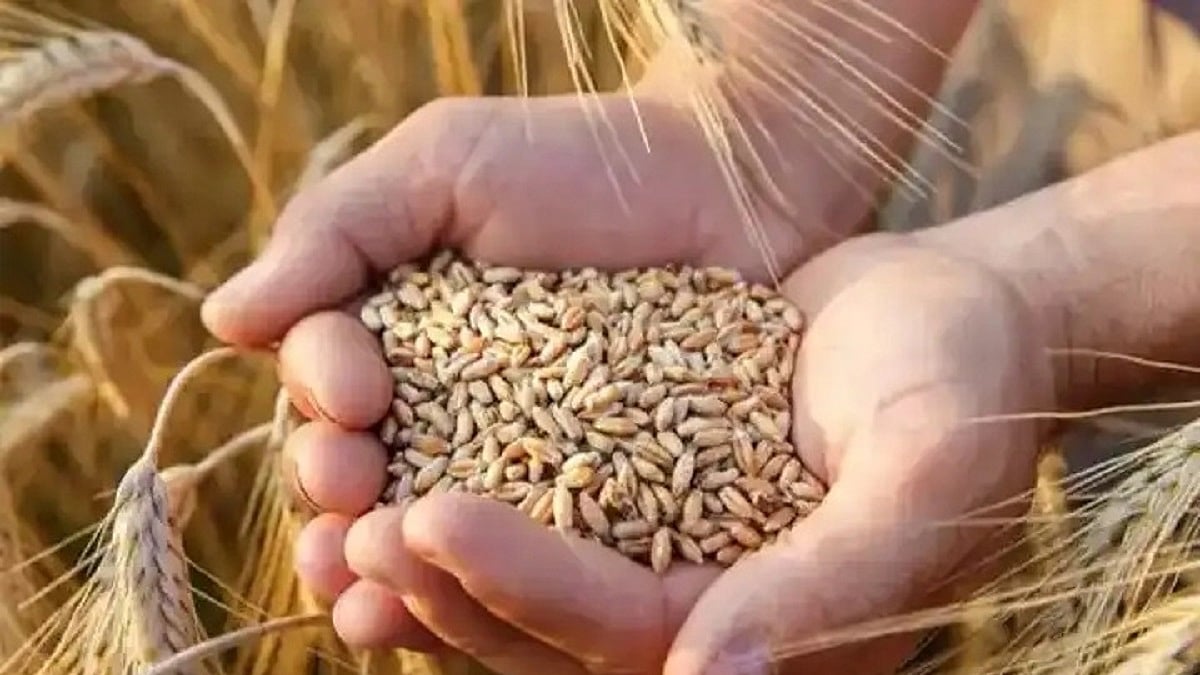 फोटो: सोशल मीडिया