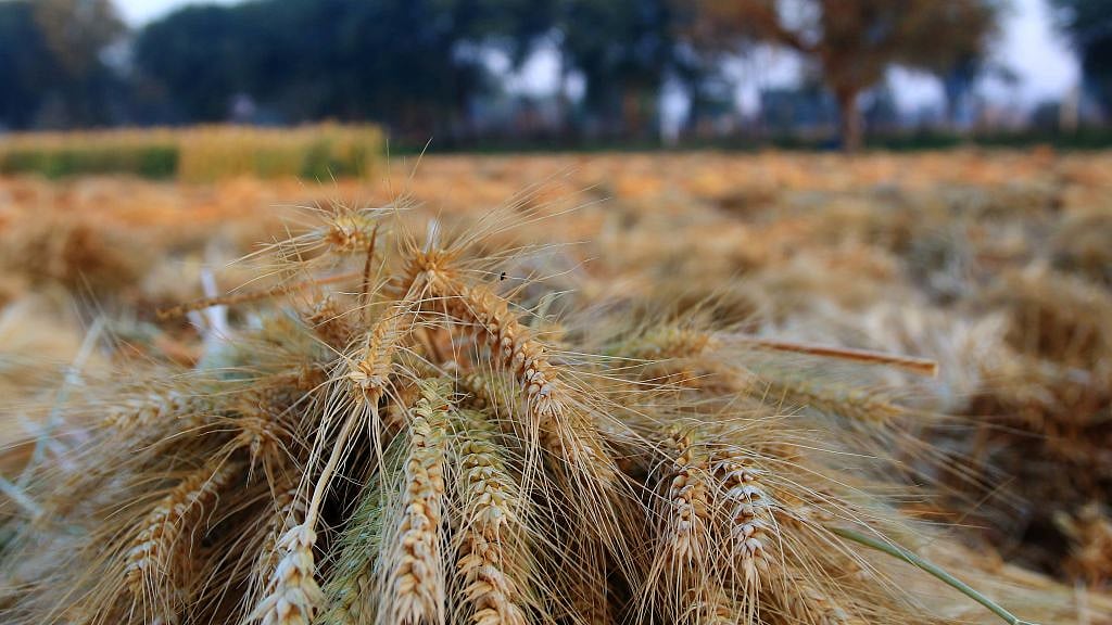 फोटो: Getty Images