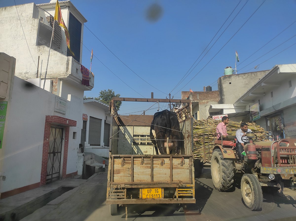 फोटो: आस मोहम्मद कैफ