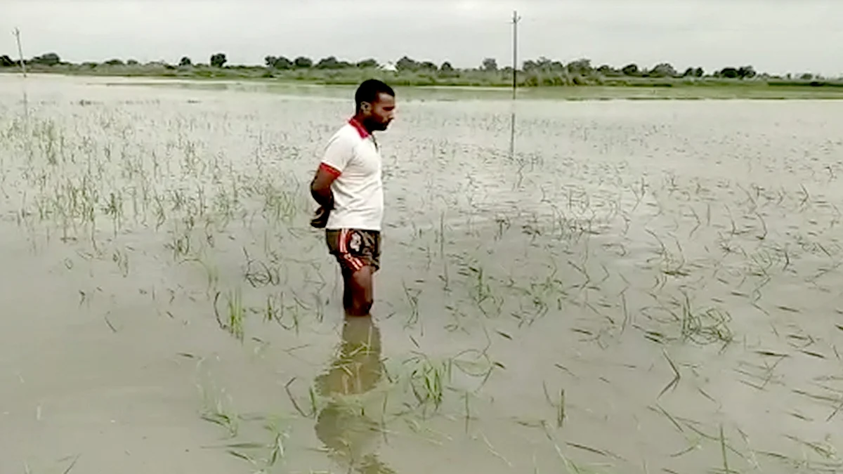 फोटो: IANS