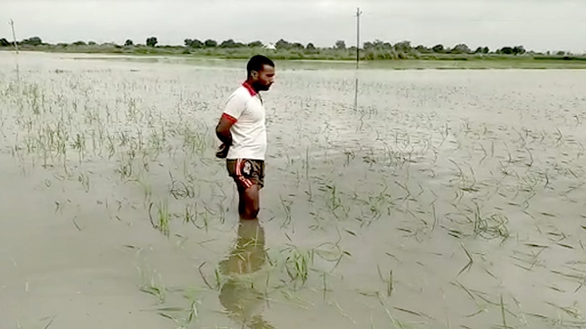 फोटो: IANS