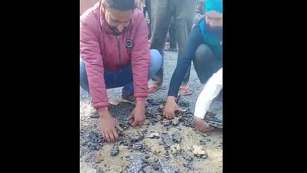 फोटो : सोशल मीडिया