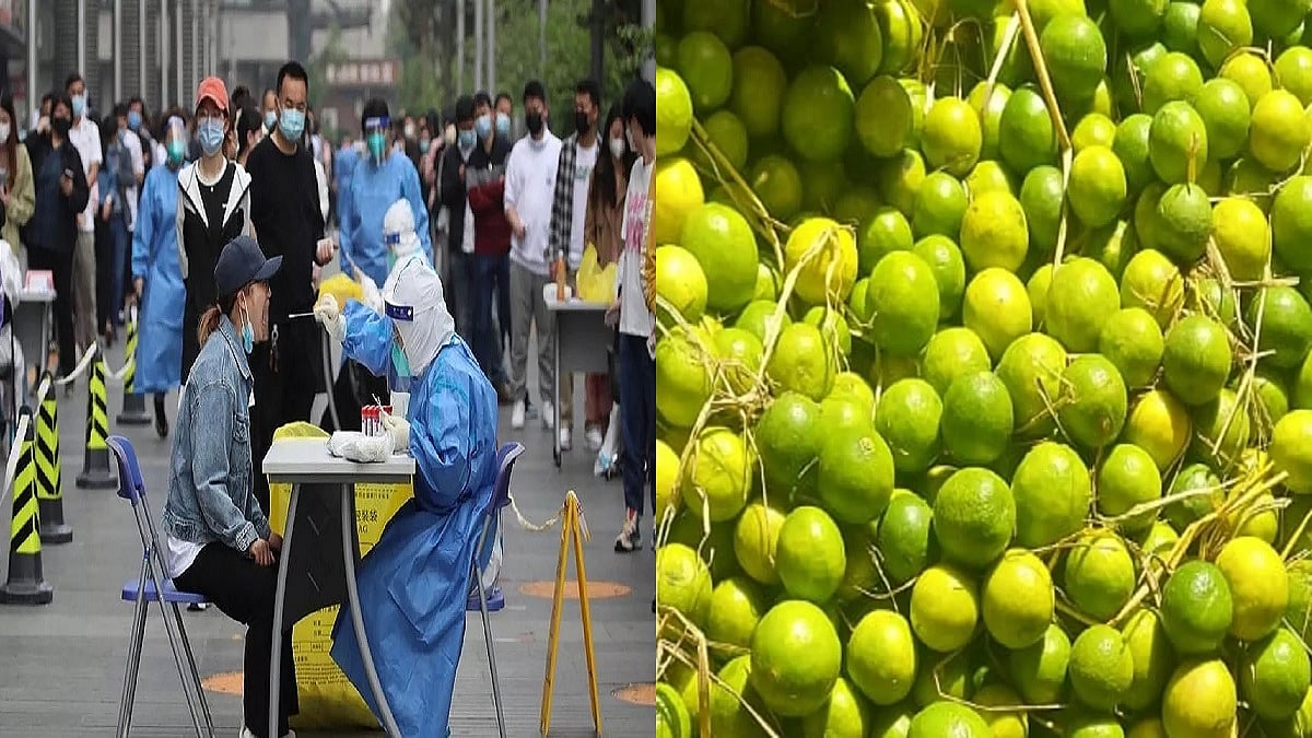 चीन में कोरोना से मचे कोहराम के बीच नींबू के लिए मारामारी, बढ़ी इसकी मांग, जानें क्यों खरीद रहे लोग?