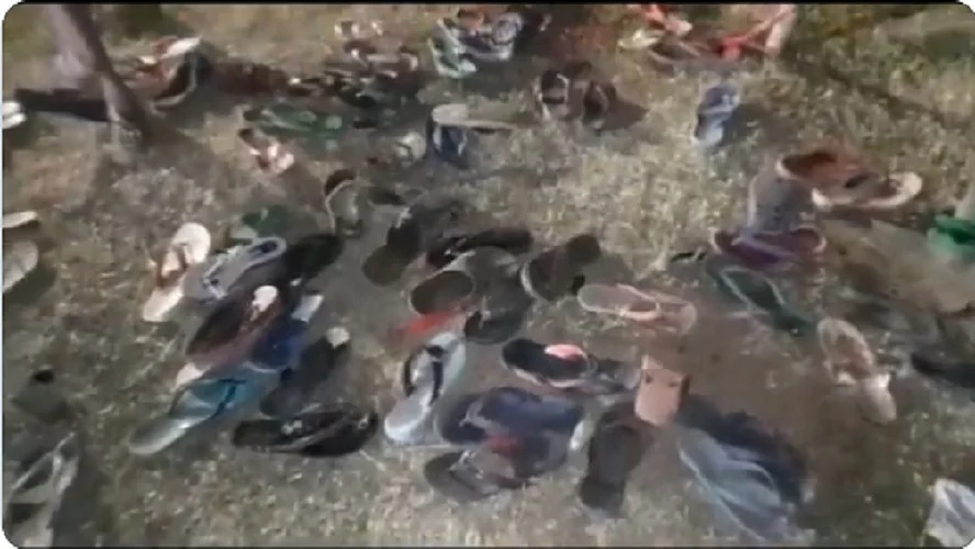 फोटोः वीडियोग्रैब