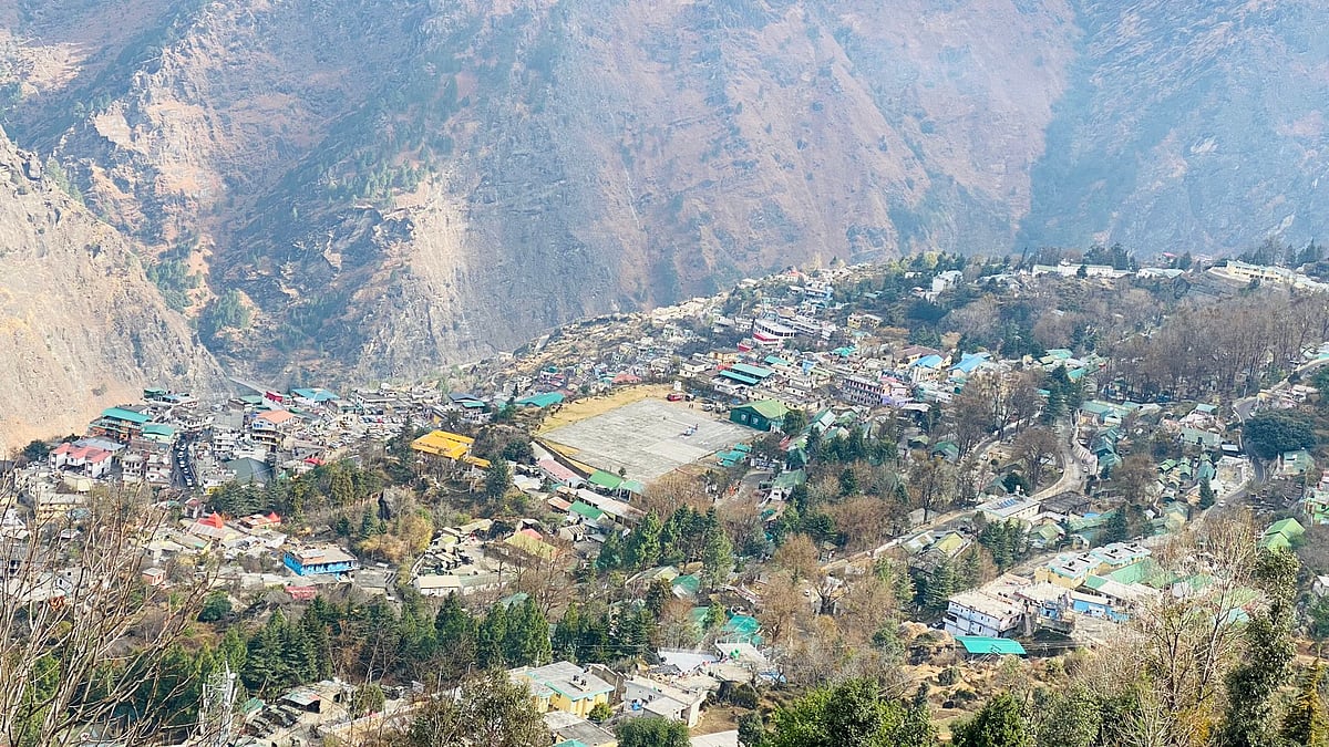 फोटो:सोशल मीडिया