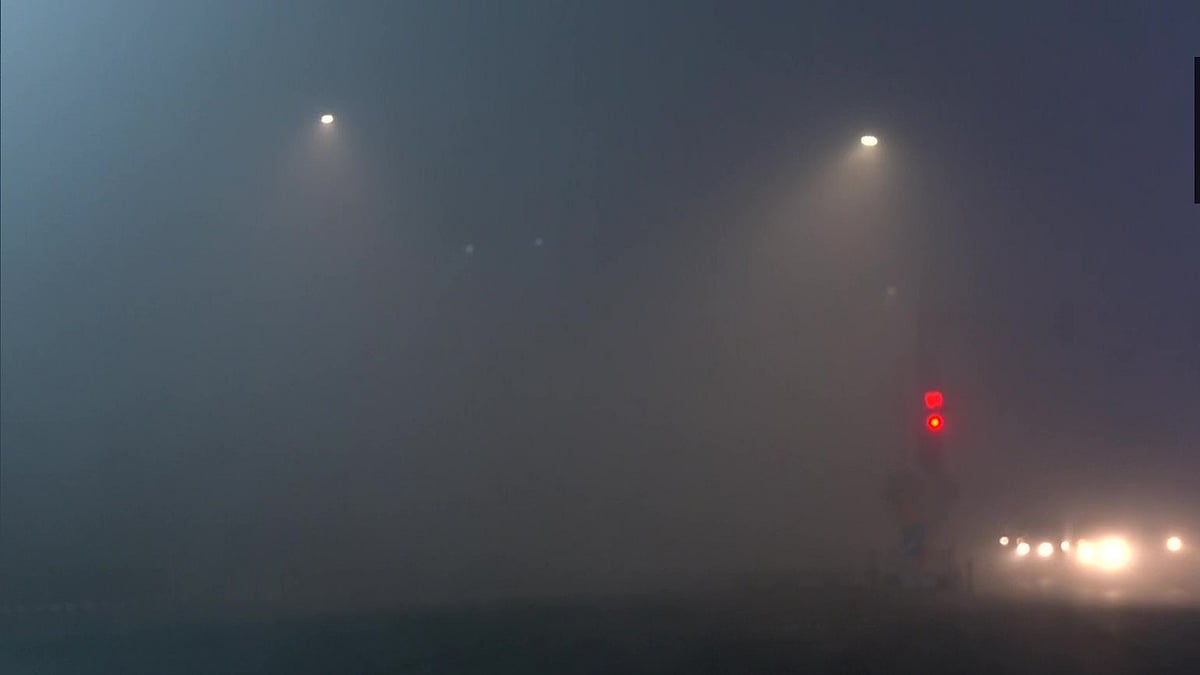 फोटो: सोशल मीडिया