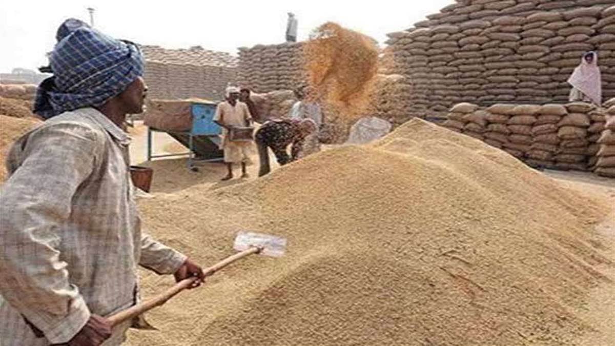 फोटो: सोशल मीडिया