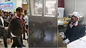 गाजियाबाद कोर्ट में घुसा तेंदुआ, वकीलों पर मारा झपट्टा, 3 लोग घायल, रेस्क्यू में जुटा वन विभाग