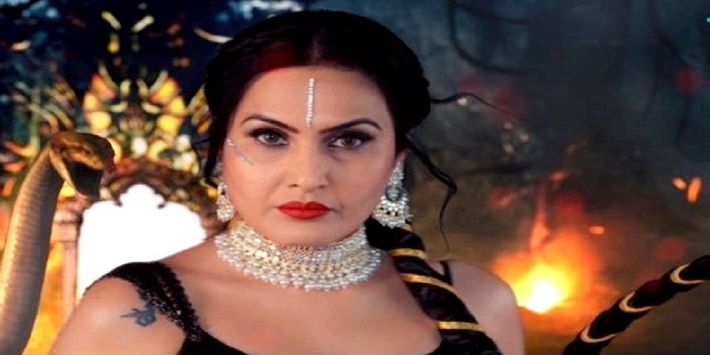 सिनेजीवन: शाहरुख खान अप्रैल में सलमान की 'टाइगर 3' में करेंगे कैमियो और फिल्म 'द एरा ऑफ 1990' का गाना 'रांझणा' रिलीज
