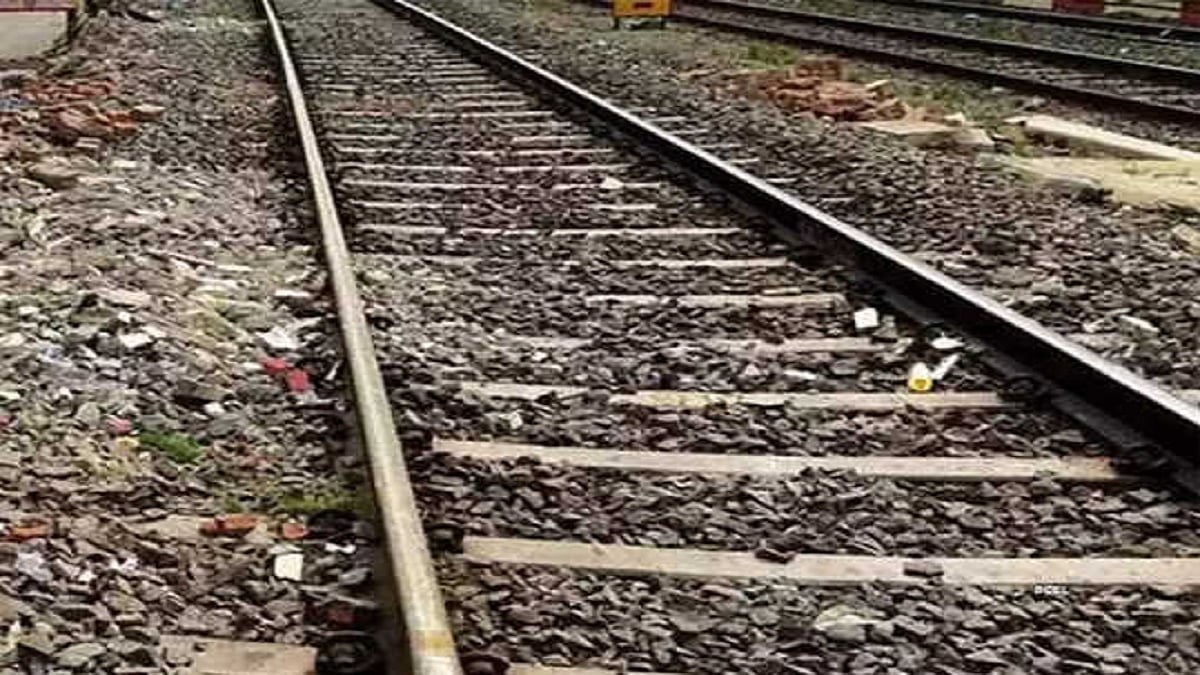 उत्तर प्रदेश: आवारा पशुओं के झुंड को किसानों ने रेलवे ट्रैक पर दौड़ा दिया, 11 गायों की कटकर मौत, कई घायल