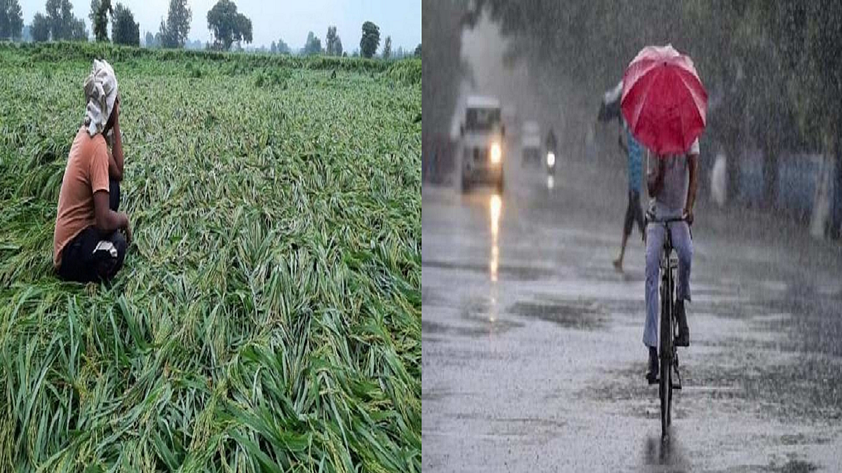 फोटो: सोशल मीडिया