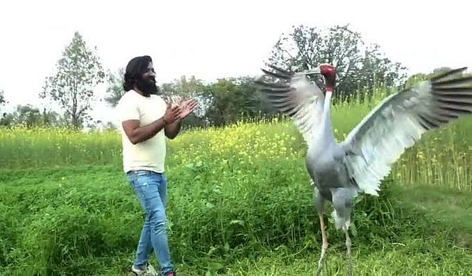 यूपी: आरिफ का सारस समसपुर पक्षी विहार से लापता, अखिलेश बोले- योगी सरकार खोजे वरना पक्षी प्रेमी करेंगे आंदोलन