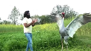 यूपी: आरिफ का सारस समसपुर पक्षी विहार से लापता, अखिलेश बोले- योगी सरकार खोजे वरना पक्षी प्रेमी करेंगे आंदोलन