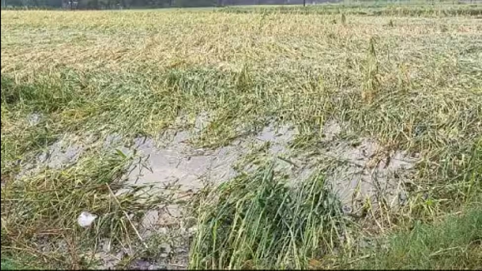 फोटोः सोशल मीडिया
