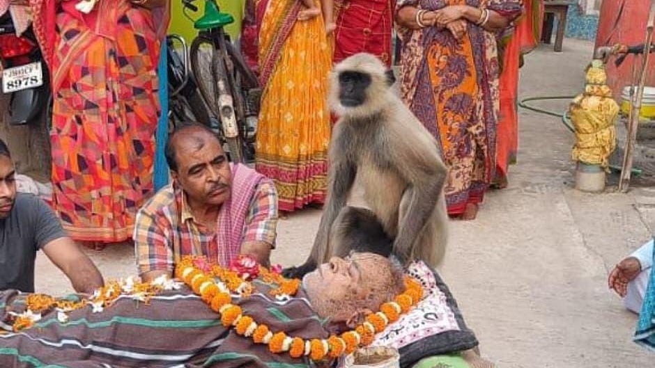 फोटो: IANS
