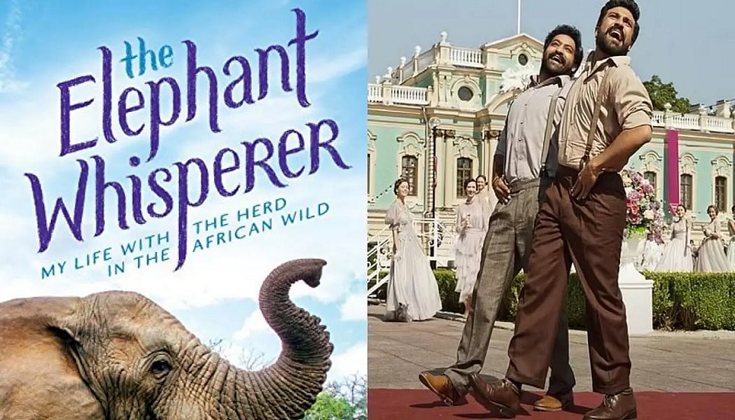 सिनेजीवन: ऑस्कर में इन दो भारतीय फिल्म का डंका और डिज्नी की 'द लिटिल मरमेड' का ट्रेलर रिलीज