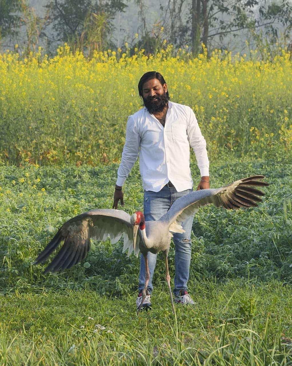 यूपी: आरिफ का लापता सारस एक गांव में मिला, अखिलेश बोले- प्रेम से बड़ी कोई सत्ता नहीं, समय रहते भाजपाई समझ लेते तो...