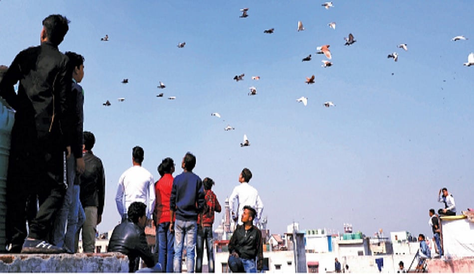 ऑल दैट ब्रीद्सः दिल्ली के दो भाइयों का जुनून, जो बन गया सह-अस्तित्व और बंधुत्व का संदेश
