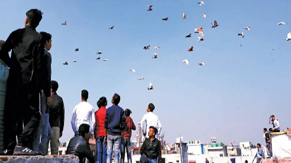 फोटोः नवजीवन