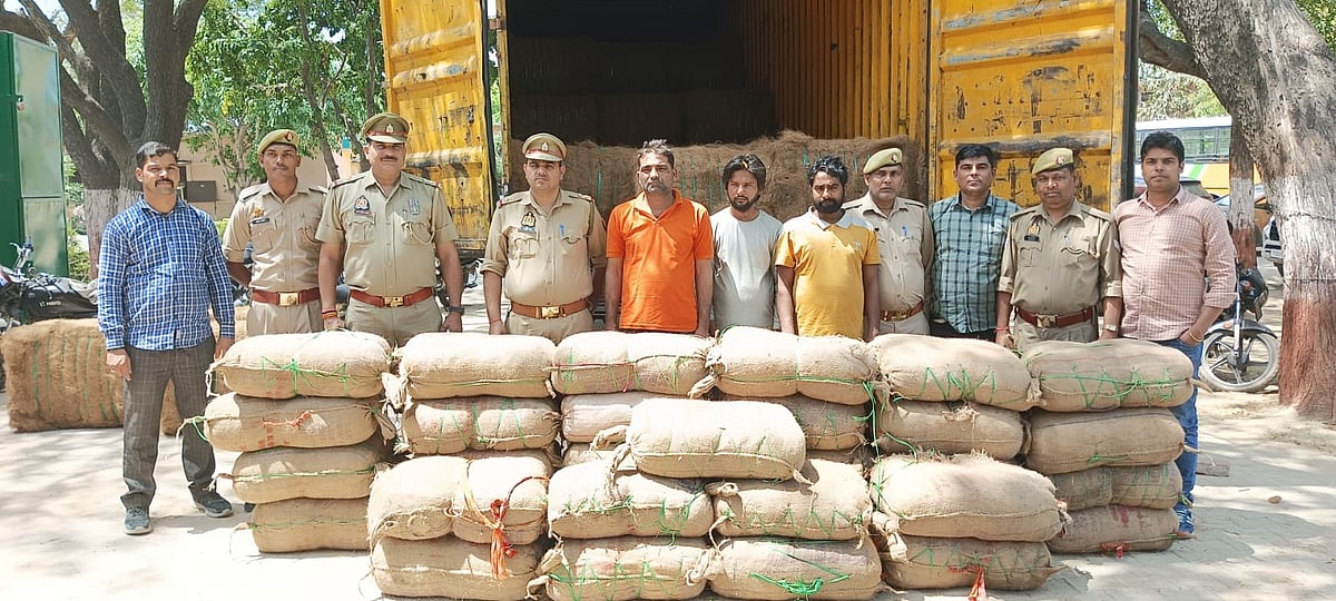 उत्तर प्रदेश: नोएडा में पकड़ी गई सबसे बड़ी गांजे की खेप, 700 किलो गांजा बरामद, 5 गिरफ्तार