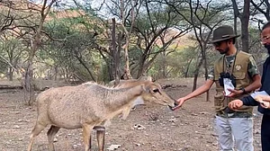 श्याम रंगीला को पीएम मोदी की नकल उतारना पड़ा भारी, मिमिक्री आर्टिस्ट को भरना पड़ा इतने हजार रुपए का जुर्माना