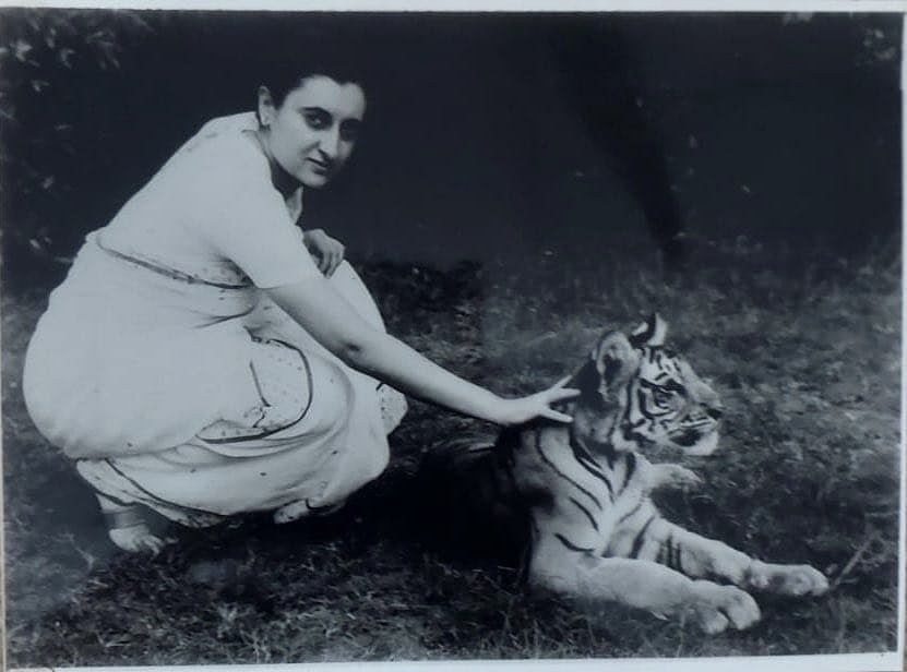 वन्यजीव संरक्षण के प्रति भारत की दृढ़ प्रतिबद्धता, इंदिरा गांधी की प्रेरक विरासत, इस पर सभी को होना चाहिए गर्व: राहुल