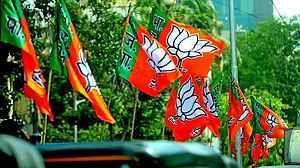 यूपी नगर निकाय चुनाव जीत कर भी हार गई BJP, कई मंत्रियों के अपने गृह जिलों में रहे चौंकाने वाले नतीजे!