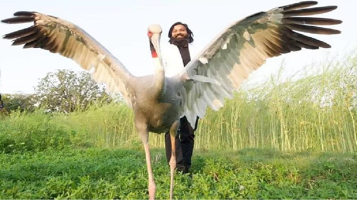 फोटो: सोसल मीडिया