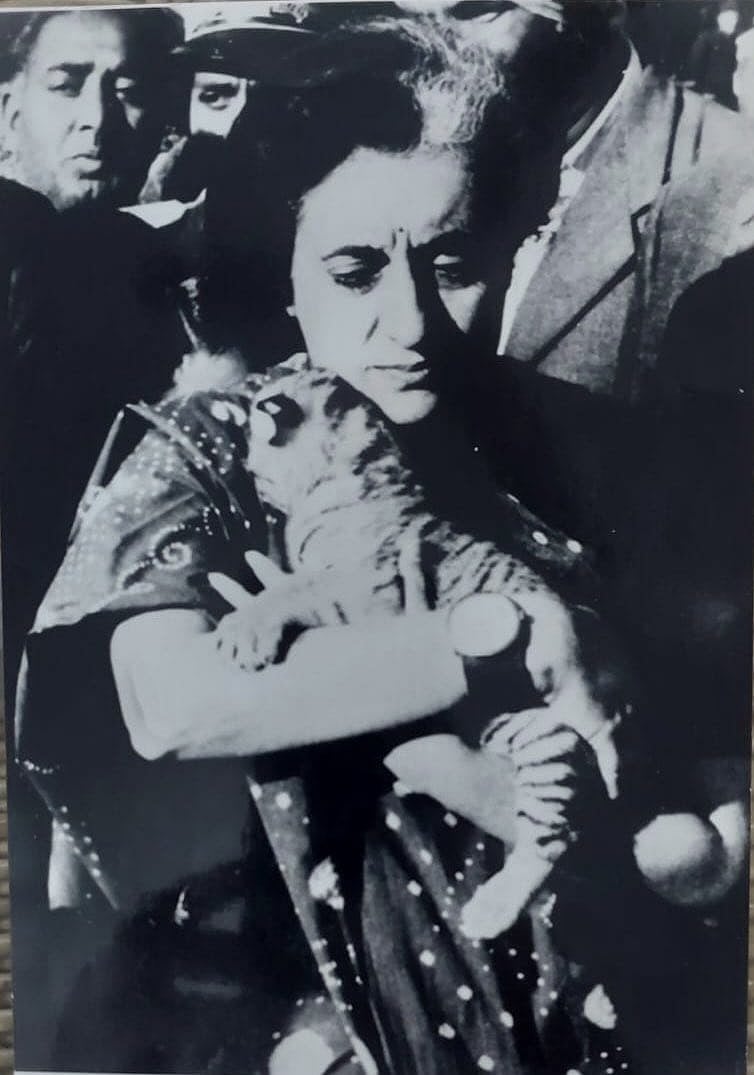 वन्यजीव संरक्षण के प्रति भारत की दृढ़ प्रतिबद्धता, इंदिरा गांधी की प्रेरक विरासत, इस पर सभी को होना चाहिए गर्व: राहुल