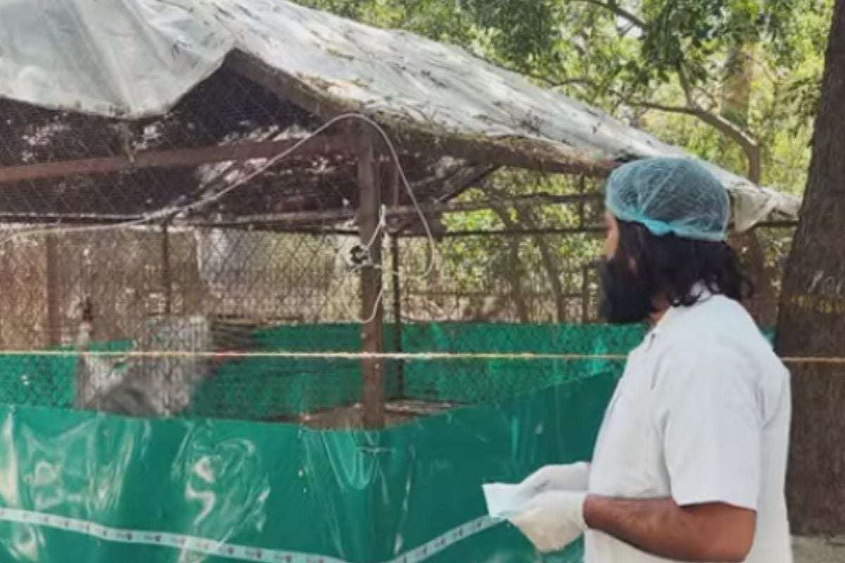 यूपी: बीजेपी सांसद ने अपनी ही सरकार को घेरा, कहा- आरिफ और सारस को कर देना चाहिए एक, इनकी कहानी है खास